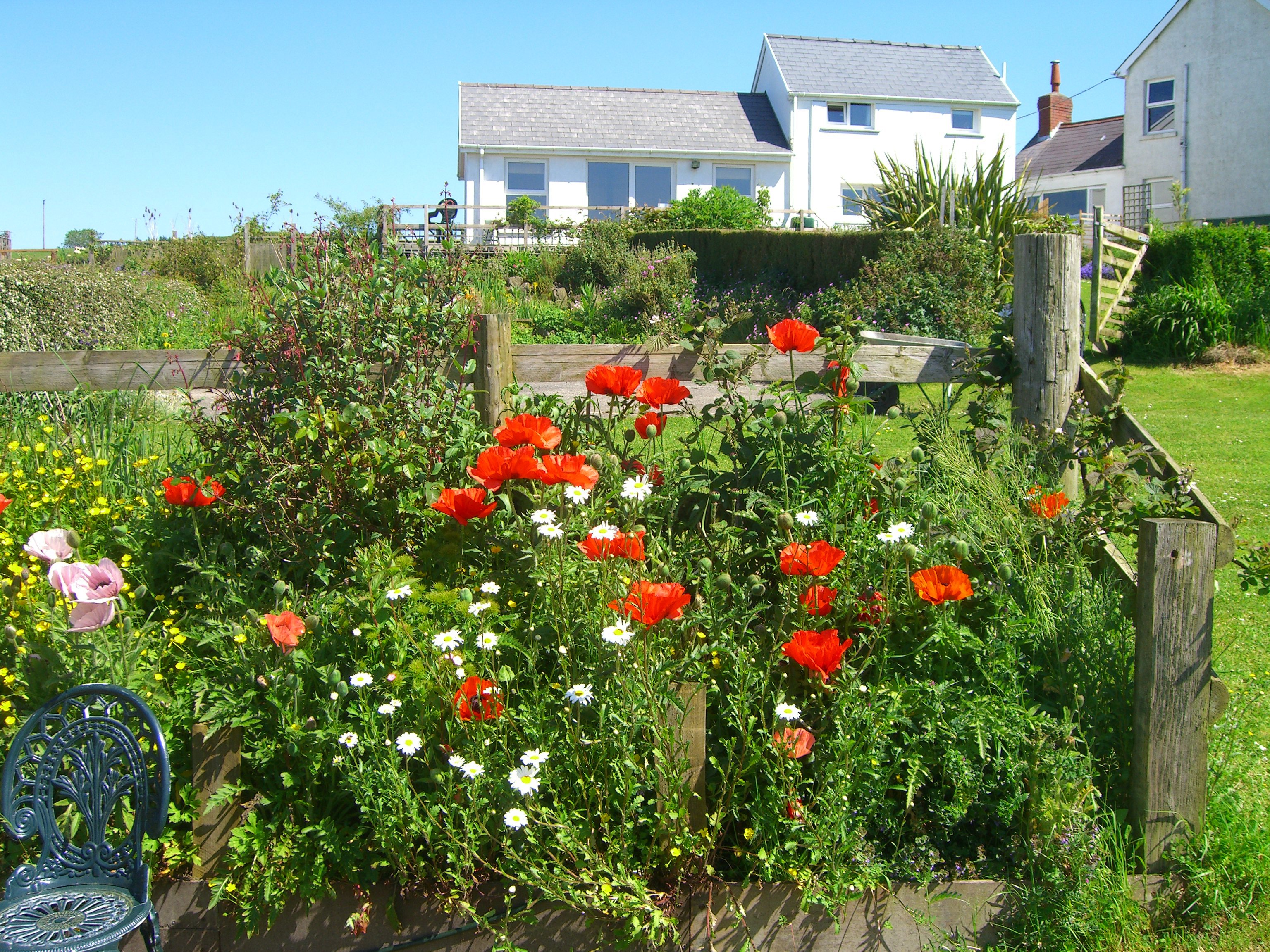 HolidaysForDogs cottage