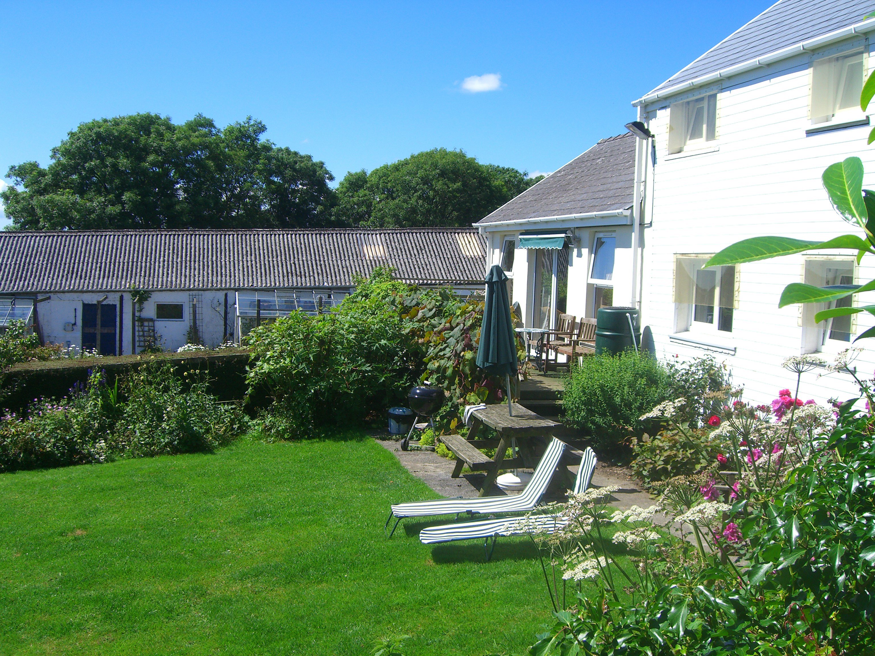 Cottage garden