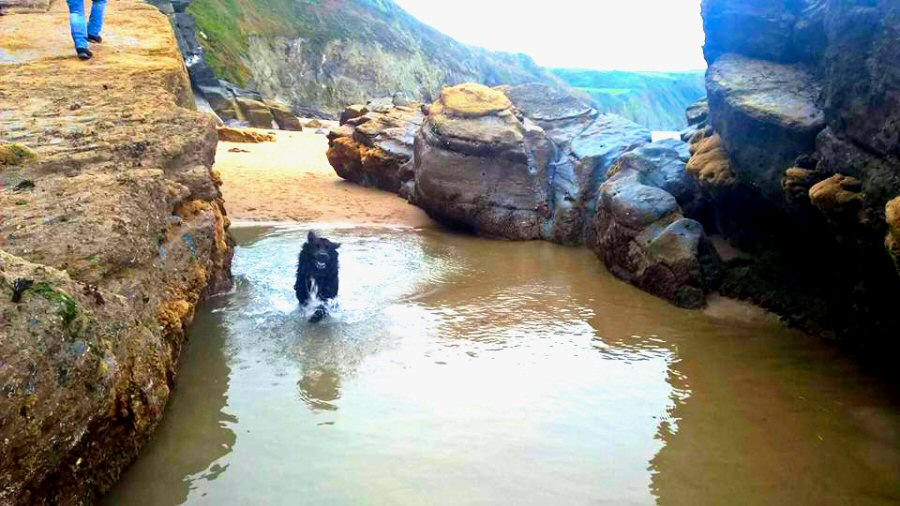 Penbryn Beach rock pool