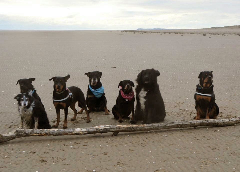 Pendine sands: Teamwork