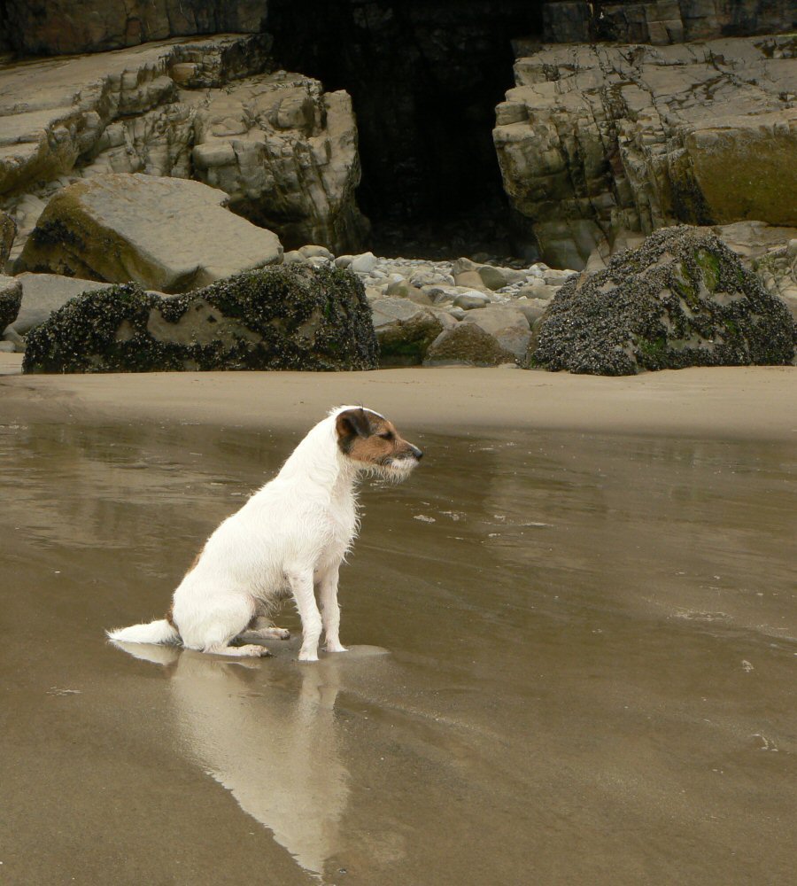 Caves at Pendine