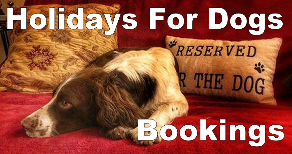 Holidays For Dogs bookings 