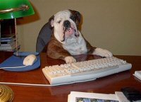 Dog at computer