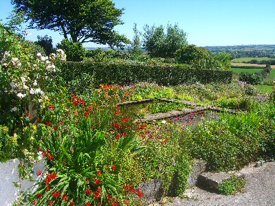 Holidays for dogs: Ornamental Ponds