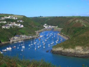 HolidaysForDogs.com boats at Solva